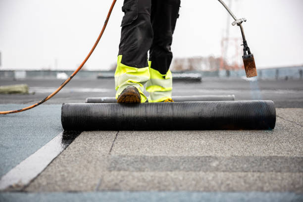 Best Metal Roofing Installation  in Marine City, MI